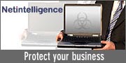Internet Security for Business